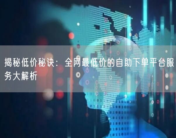 揭秘低价秘诀:全网最低价的自助下单平台服务大解析