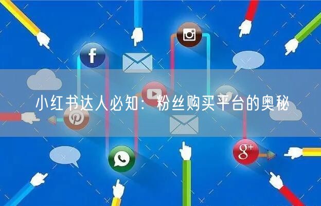 小红书达人必知:粉丝购买平台的奥秘