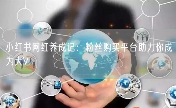 小红书网红养成记:粉丝购买平台助力你成为大V