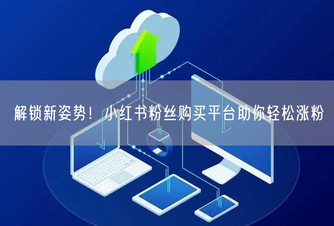 解锁新姿势!小红书粉丝购买平台助你轻松涨粉