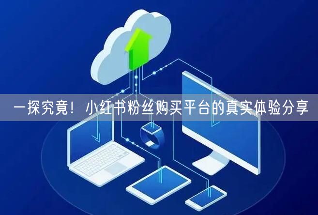 一探究竟!小红书粉丝购买平台的真实体验分享