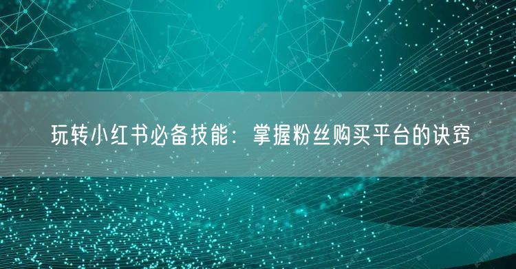 玩转小红书必备技能:掌握粉丝购买平台的诀窍
