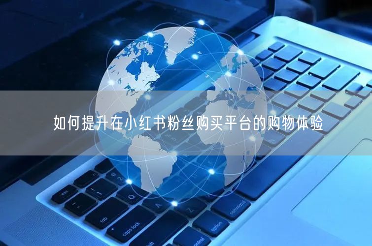 如何提升在小红书粉丝购买平台的购物体验