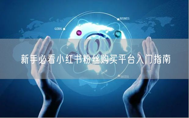新手必看小红书粉丝购买平台入门指南