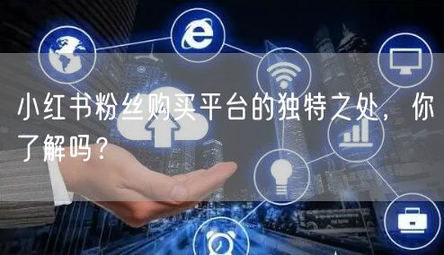 小红书粉丝购买平台的独特之处,你了解吗?