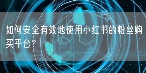 如何安全有效地使用小红书的粉丝购买平台?