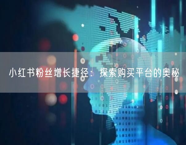 小红书粉丝增长捷径:探索购买平台的奥秘
