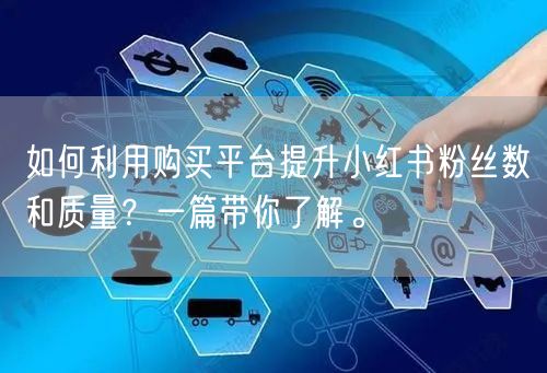 如何利用购买平台提升小红书粉丝数和质量?一篇带你了解。