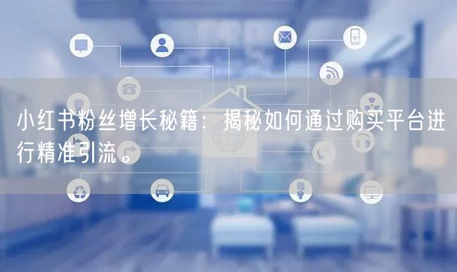 小红书粉丝增长秘籍:揭秘如何通过购买平台进行精准引流。