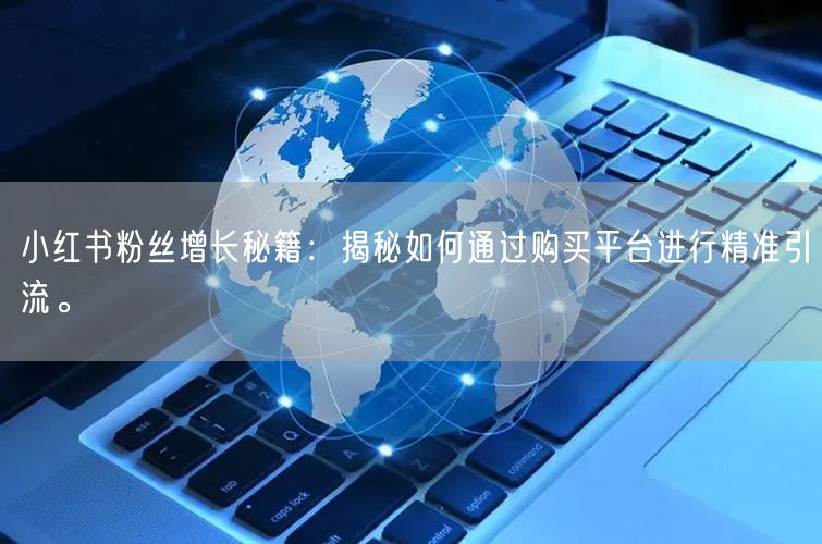 小红书粉丝增长秘籍:揭秘如何通过购买平台进行精准引流。